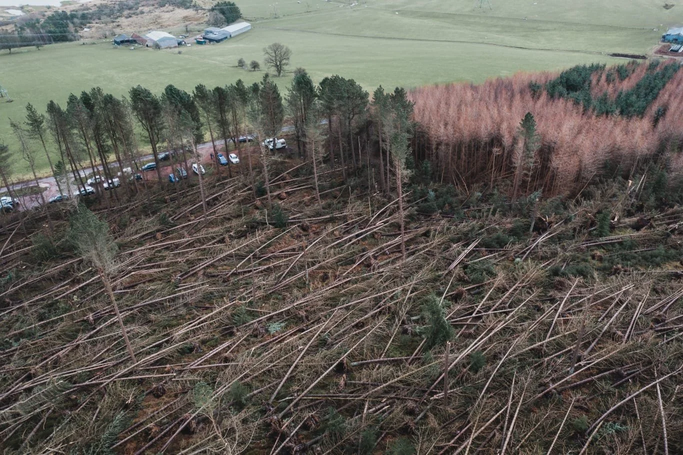 windblown forestry after storm Arwen drone survey